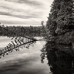 'Gone off point ... '