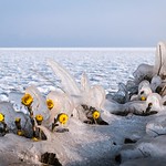 When winter meets spring