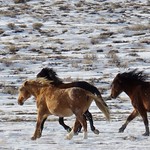 Running Free and Running Fast