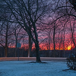 Sunrise in the park