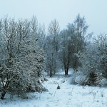 Winter in Lithuania (55)