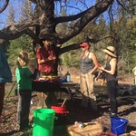 Winter Pruning Workshop