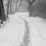 Icy Path BW