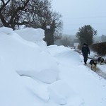 Walking the dog on Wakely Hill