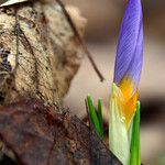 Spring cleaning starts early