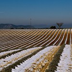Proven&ccedil;al cold - Frimas proven&ccedil;al