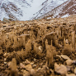 Levantate en el fr&iacute;o