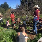 Winter Pruning Workshop