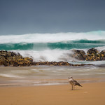 Be careful of the waves...