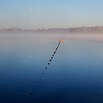 Jour de brume...Misty morning