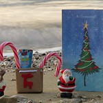 Santa Claus And Reindeer Gus Wish You Sweet Christmas