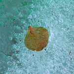 The last day of winter?