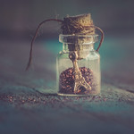 dream in a bottle ... MM