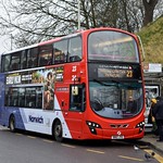 FirstNorwich 36189 - BN12JYO