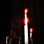 A tribute for you !!!