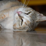 Stretching after a short nap