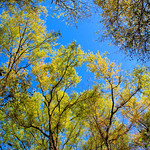 Does Anything Beat Spring?