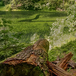 Highland. Synevyr Lake.