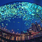 i Light Marina Bay 2018 ~ Flawless ~ fallen leaves city in crystal ball