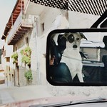 Like driving Miss Daisy!