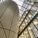 Cocoon in a glass cage