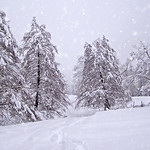 Un An Nou Fericit! / Happy New Year!