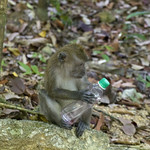 2011-03-17 - 13.11.22 - 7394 - EOS 7D