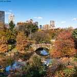 Central Park Pond Autumn (20181110-DSC03064)