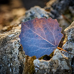 contours of our time