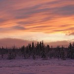 And the days grow shorter . .