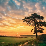 Reach Out and Touch Faith