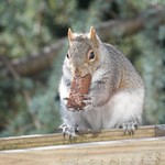 Early Christmas treats....