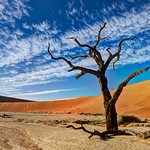 Dead Vlei