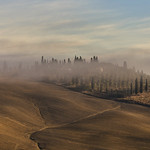 MIST TO THE"LEONINA"