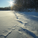 Sun Dog Morning - Hyland Lake Park Reserve