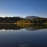 Summer's Almost Gone