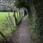 Lullingstone Park, Darent Valley Path and Eynsford Castle