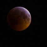 Meteor impact during Super Blood Wolf Moon