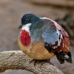 Little fluff-ball was happy and content until I stuck my lens in his space.