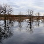 November quiet reflection