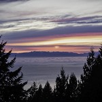 Cypress Lookout Sunset