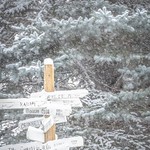 The Beach, Boy Aruba, Jamaica, oh I want to take ya.... #reddeer #alberta #winter #butstillfall #snow #snowfall #thisisnotpleasant #ihateshoveling