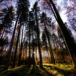 Welcome To Fairy Tales