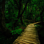 Plitvice lakes - DSC7689-2 wm 2k