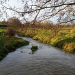 The Brook by Alfred Tennyson