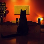 #19 - El arte amansa a las fieras