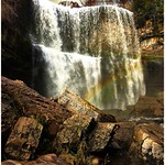 Bruce Trail ~ Webster's Falls ~ Spencer Gorge ~ Autumn Scene