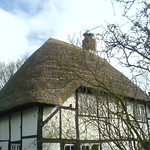 Thatch