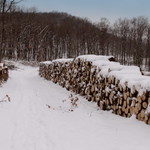 December, Pilis, Hungary