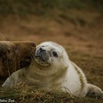 Proud, tired mommy number 1!